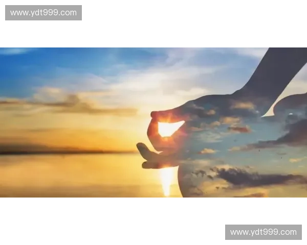 卡尔的崛起之路 从孤独修行到联盟的荣耀之巅